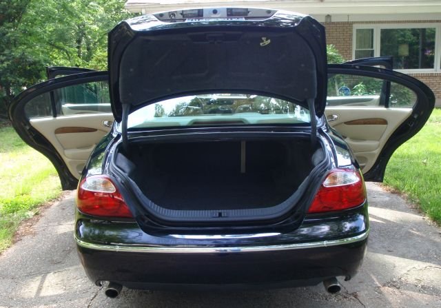 trunk2